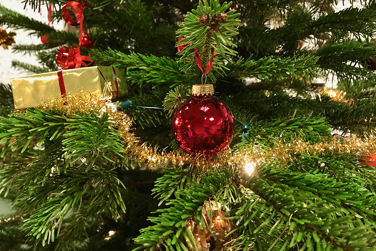 Weihnachtsbaum. Foto Hans-Martin Goede